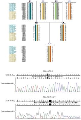 Using preimplantation genetic testing for monogenic disease for preventing citrullinemia type 1 transmission